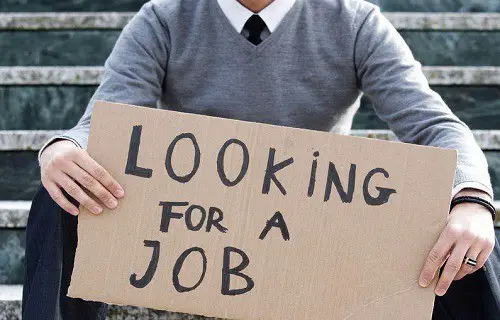 Holding Looking For A Job Cardboard